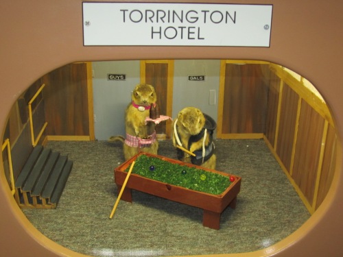 Torrington Hotel